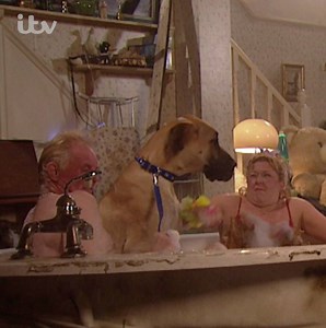 446K views · 364 reactions | To celebrate the extra episode of Coronation Street, we're looking back at some of our favourite #CorrieMoments! Who can forget this? #Corrie tonight 7.30pm & 8.30pm, ITV. | ITV | Facebook