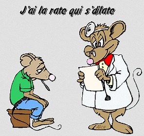 ...La rate... organe majeur de la transition... | Blog