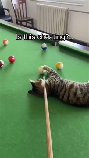 Professional Billiard Players showing their skills