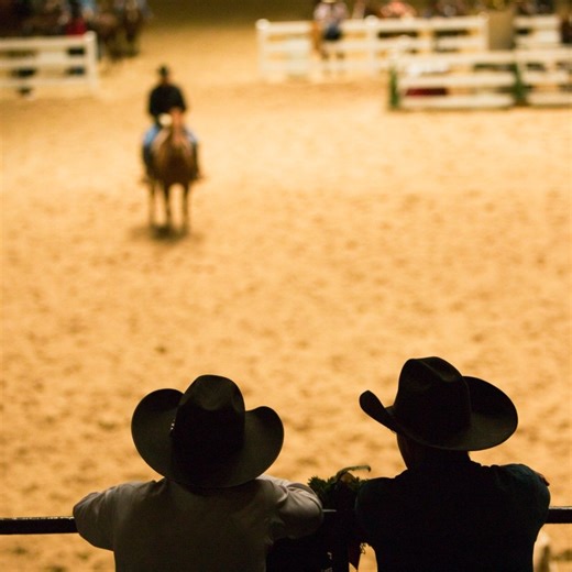 The Top 2 Rodeos in Fort Worth: A Beginner's Guide