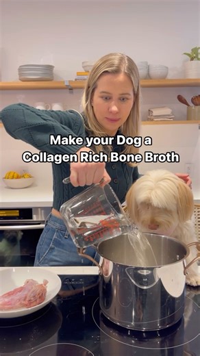 Turkey Neck Bone Broth for Dogs🦃 Comment Turkey ⬇️ to get the full recipe! #bonebroth #bonebrothfordogs #turkey #turkeyneck #turkeyneckfordogs #quickrecipe #easy #easyrecipe #dogtreats #homemadedogtreat #homemadedogfood #cookingformydog #cookformydog #athomecooking #healthypup #nutritionalmeal #dogmom #dogdad #recipesfordogs | Dog Child