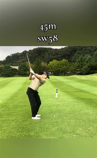 시그너스 마지막홀 버디 #shorts
