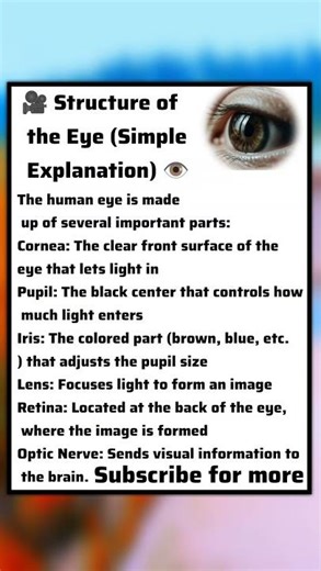 ‎👁️ How the Human Eye Works in Seconds!