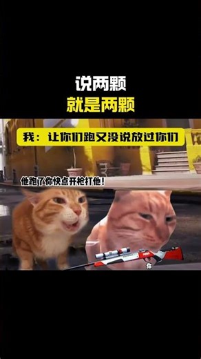 说两颗就是两颗#cheems #cheems小剧场 #搞笑 #funny #熱門