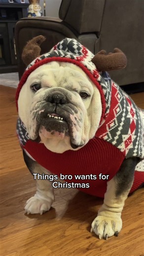 Santa better make all bro’s wishes come true 🎅 #dog #bulldog #fyp #fypシ #santa