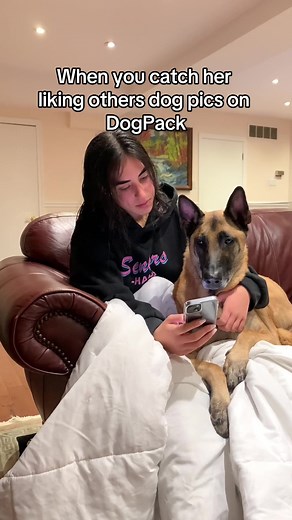 This changes everything... | DogPack