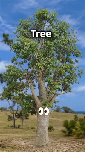 The World's Deadliest Tree Can Kill You Instantly ☠️🌳 #shorts #foryou #facts
