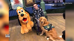 Watch this service dog's adorable reaction to meeting 'Pluto' at Walt Disney World for the first time! http://cbsloc.al/2DvXOwJ (🐶 *He's got a Pluto chew toy at home!) | 1010 WINS