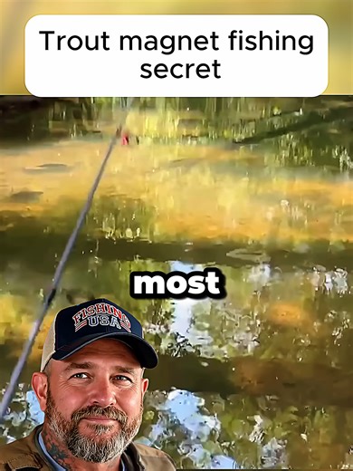 Trout magnet fishing tips for catching trout in rivers, streams and freshwater lakes. #troutmagnetfishing #troutfishing #freshwaterfishing #fishingtips #fishinglife
