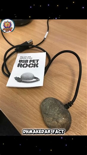 Online Bikne Wali Sabse Wierd Chizen😂| Dhmakedar Fact