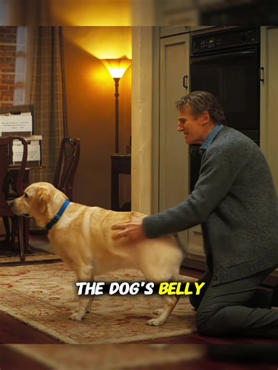 #Movie #foryou #fyp #tiktok #viral | movie