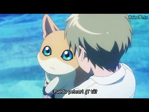 Seraphimon - Digimon Adventure Tri - Soushitsu (Clip)