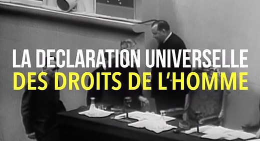 118K views · 66 reactions | #Terminale LA DECLARATION UNIVERSELLE...