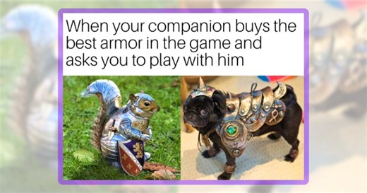 22 Gamer Animal Memes for Gamers Who’ve Accepted Their Pet as Both Teammate and Final Boss