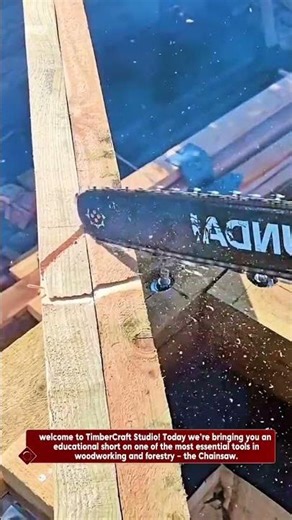 Chainsaw Basics: Education on Specifications, Pros, Cons & How It Boosts Productivity