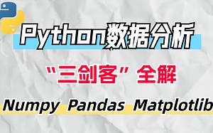 【202版数据分析】全B站最全的Python（数据分析）教程，7天从入门到项目实战，学完即可做项目，少走99%的弯路，学数据分析看这套就够了！