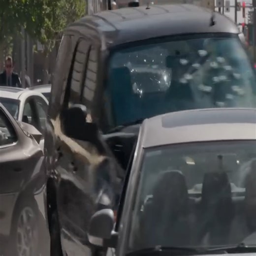 2.5K views · 53 reactions | Top Action Movies That Went Viral Worldwide | The Collection - film | Facebook