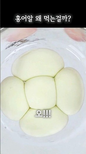 It Took Us 10 DAYS to Get This Ultra-Rare Korean Delicacy: Fermented Skate Roe!