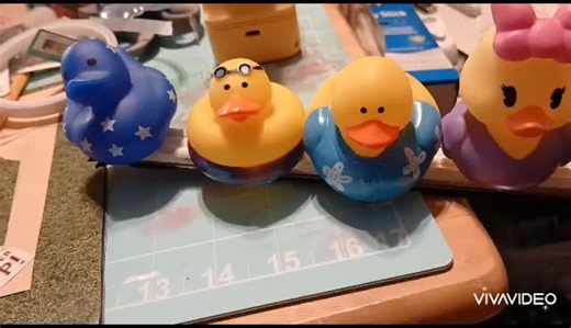 DIY Duck Holder Project: Creative Solutions Explored