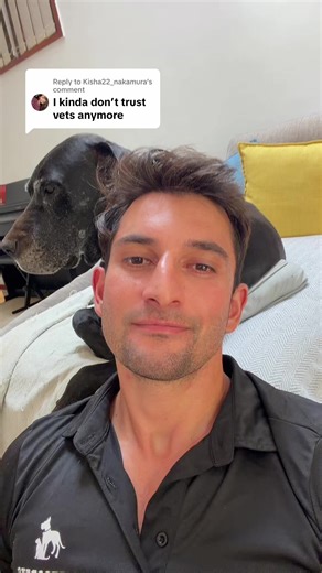 Replying to @Kisha22_nakamura let’s chat about it in the comments … #vet