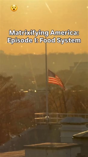 Toucan Uncle Sam on Instagram: "He should be wearing his tiny hat for accuracy"