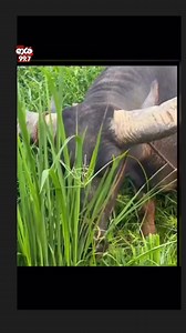 J&M Channel on Reels