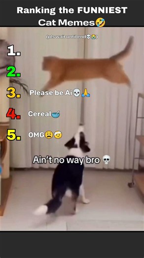 Ranking the FUNNIEST Cat Memes | Try not to Laugh (IMPOSSIBLE)🤣😭 #catmemes #catmeme #shorts