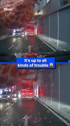 Inflatable giraffe gets blown into traffic