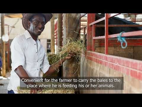 Tips on how to make hay at a smallholder farm: Part 2