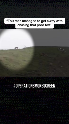 Exposing Illegal Fox Hunting in Northants