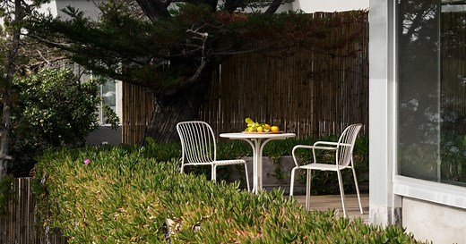 Quel meilleur arbuste choisir pour un balcon ?