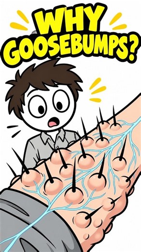 Why Do You Get Goosebumps?