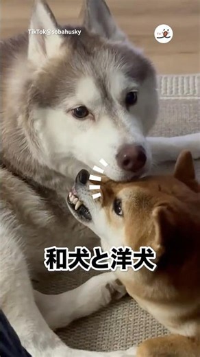 文句を言いながらも受け入れる｜PECO