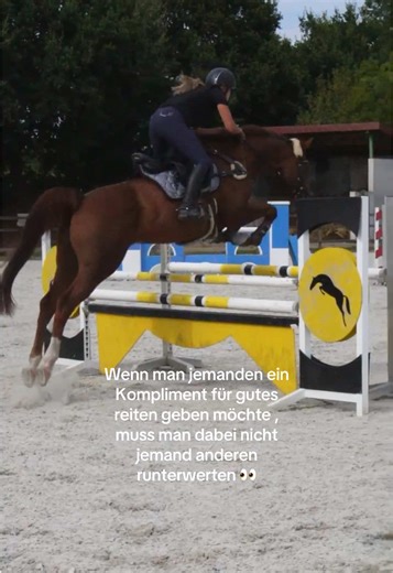 Ist doch schön wenn jemand ein Pferd toll reiten kann nur sowas wie ,,ich hab das Pferd nicht erkannt“ muss doch echt nicht sein 😂 natürlich erkennt man das Pferd 🫣 #fy #pferdeinfluencer #reitsport #realtalk #springreiten