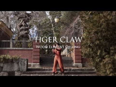 Tiger Claw | Qigong for Inner Power, Revealing the True Self, Manifesting Dreams