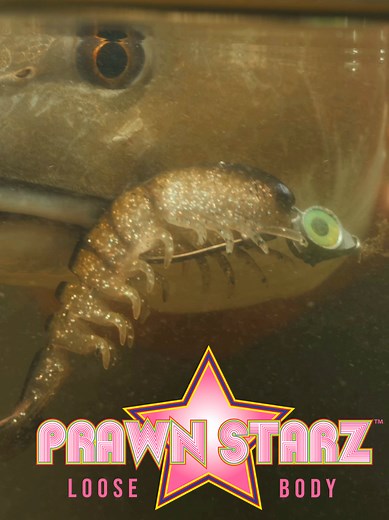 PrawnstarZ LB: Shrimp Fishing Lure