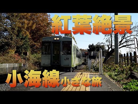 【紅葉絶景 小海線 小さな旅】Shigezee's 八ヶ岳スローライフ 4K