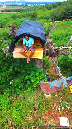 702K views · 9K reactions | Farmer Idea | Safety Home On Tree | Shiva Agri Clinic #Farmeridea #Homeontree #agriculturetechniques #FarmingTips #Agricultureideas #cropprotection #shivaagriclinic | Shiva AgriClinic | Facebook