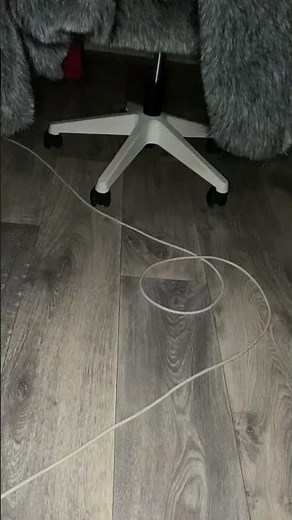 Mice Scurry Across Bedroom Floor at Night