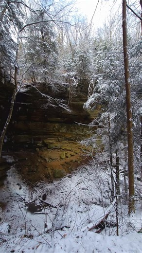 Nature #nature #outdoors