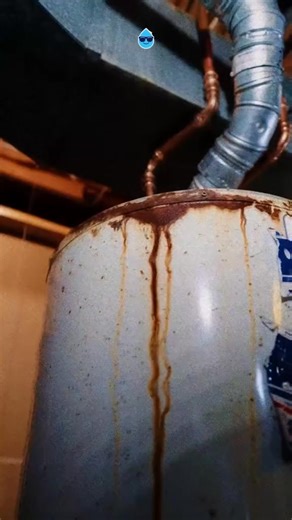 😱 PLUMBING COUNTDOWN TO HALLOWEEN! 🎃 Is your #WaterHeater making SPOOKY SOUNDS? 👻 That rattling, popping, or groaning isn't a ghost; it's sediment buildup trying to ruin your hot shower! 🚿 Here’s the deal: ❌ TRICK: Ignoring the rust streaks and noises. ✅ TREAT: Getting the tank flushed to silence the horror and save energy! What's the LOUDEST sound your water heater has ever made? Tell us your story! #BrightSidePlumbing #KCPlumbing | Bright Side Plumbing