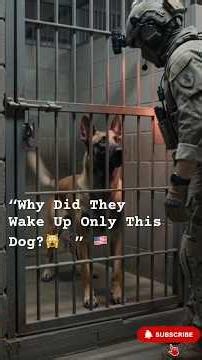 The Delta Force Operator Trusted Only One Dog for This Mission #military #elite #k9 #chinook #shorts