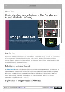 Understanding Image Datasets The Backbone of AI and Machine Learning - SlideServe