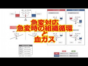 【急変対応】BLSをはじめからていねいに！ 第２話 急変時の組織循環と血ガス
