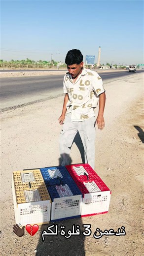 ‏@شام العلواني إلك حياتي 🤍👌