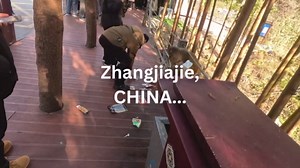 Exploring Zhangjiajie: Towering peaks, glass bridges & epic views in China