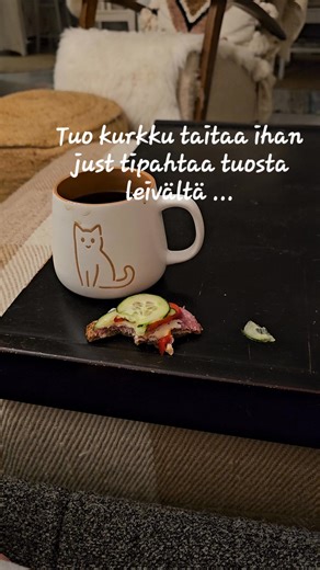 Kurkku 🥒 tippuu 🙀 Ei hätää, Mauno korjaa 💪🐾 | Mauno kissa alias Riekku Petteri