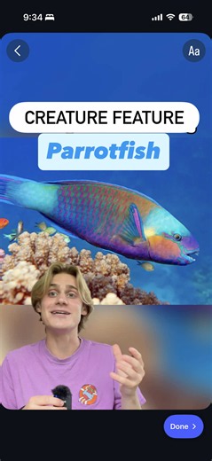 This is a parrotfish - and they play a critical role in building and maintaining coral reefs by eating and pooping. They use their sharp beaks to scrape off algae and the microscopic organisms living on the reef surface. During this process, they end up biting off chunks of the coral itself. These coral chunks then move down their throat to their second set of teeth, and its ground up into a fine powder. And then they poop it out. A single large parrotfish produces up to 1,000 pounds of sand per