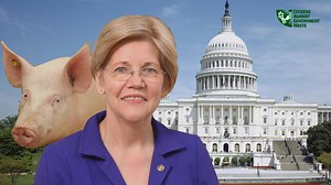 Sen. Elizabeth Warren's student loan plan “flunks fiscal and fairness tests.” | Citizens Against Government Waste