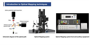 An Overview of Optical Mapping System for Cardiac Electrophysiology Research.